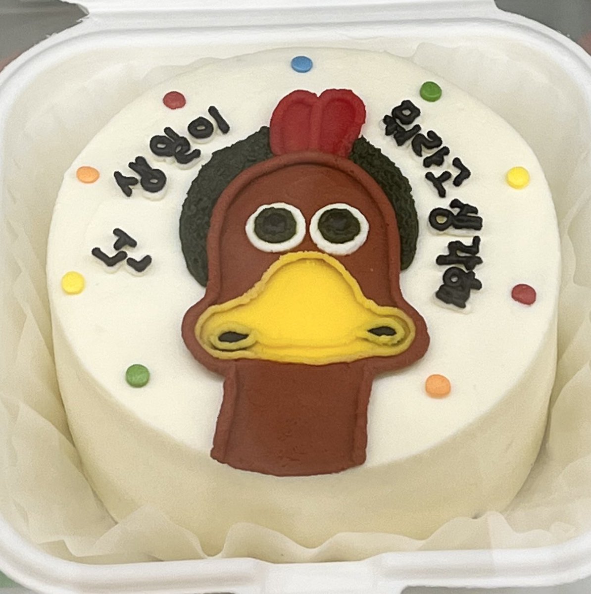 피사체 tweet media