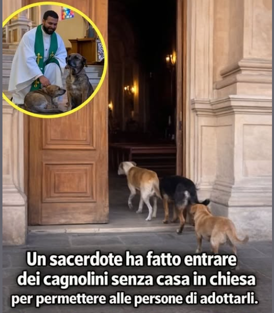 Francesca Mura tweet media