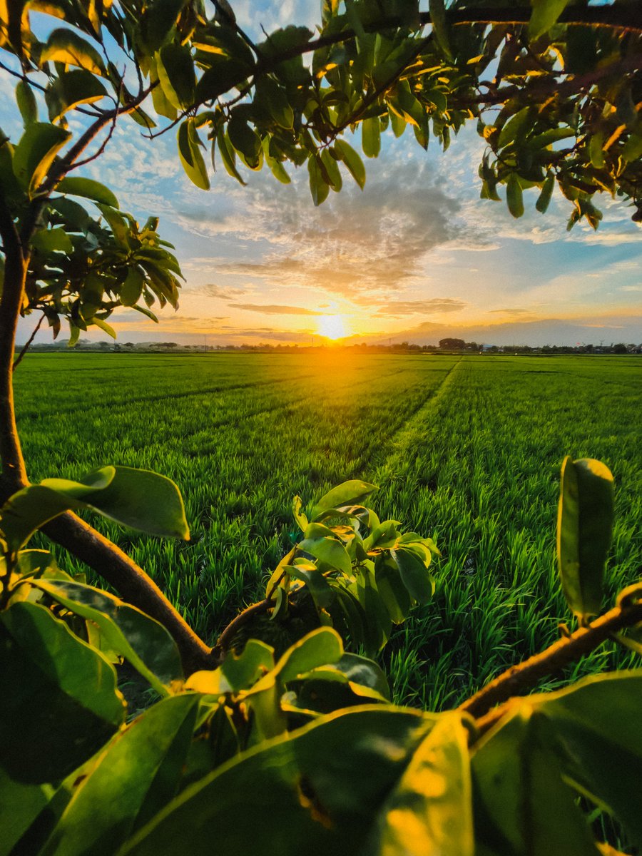 Bayu Saputra tweet media