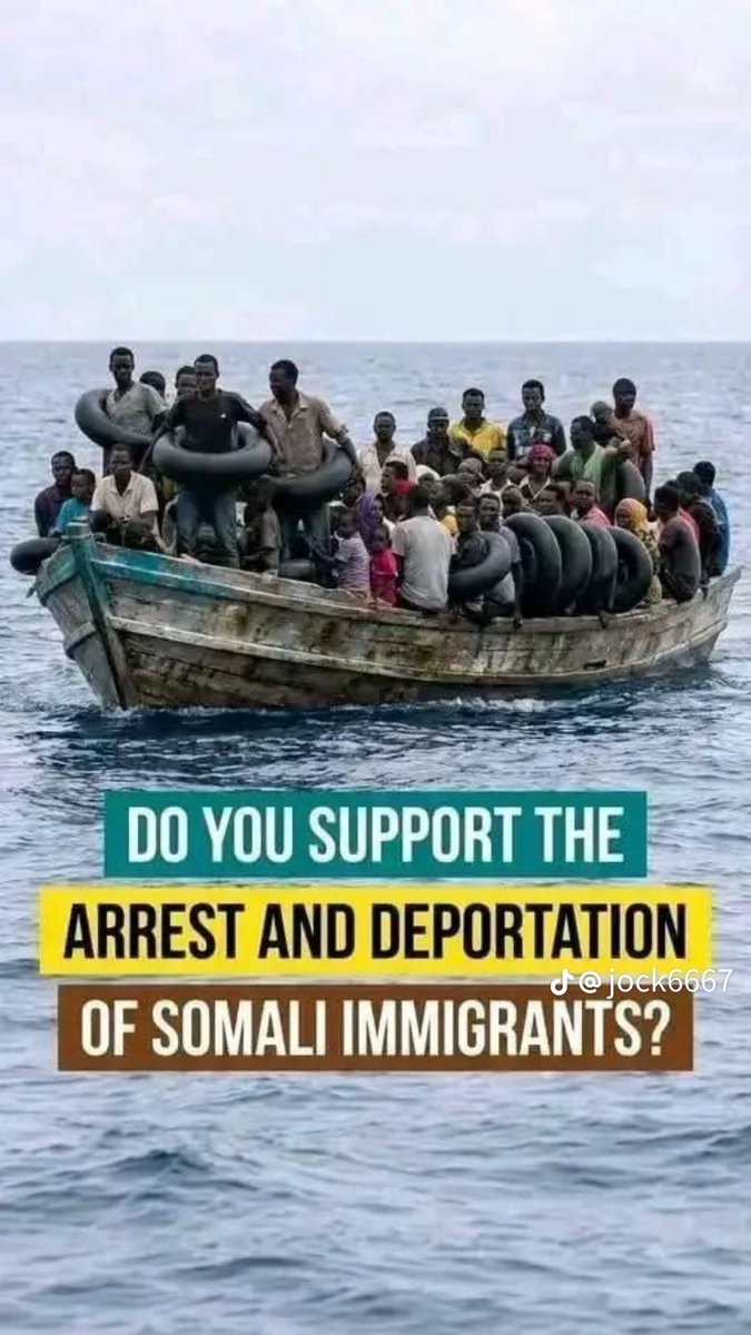 Daily Glimpse Girl tweet media