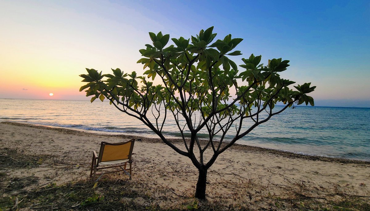 まーぶーキャンプ tweet media