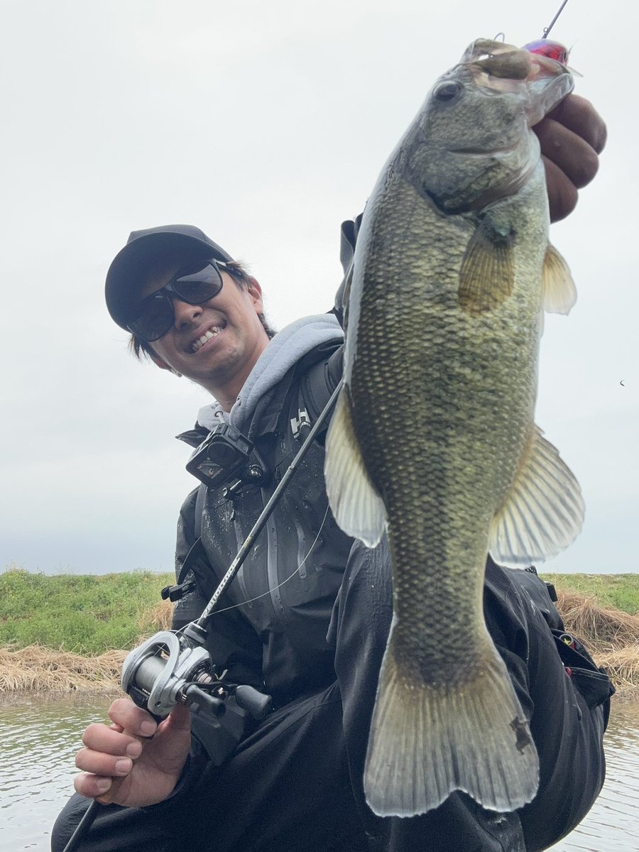 加木屋 守 (マーモ) tweet media