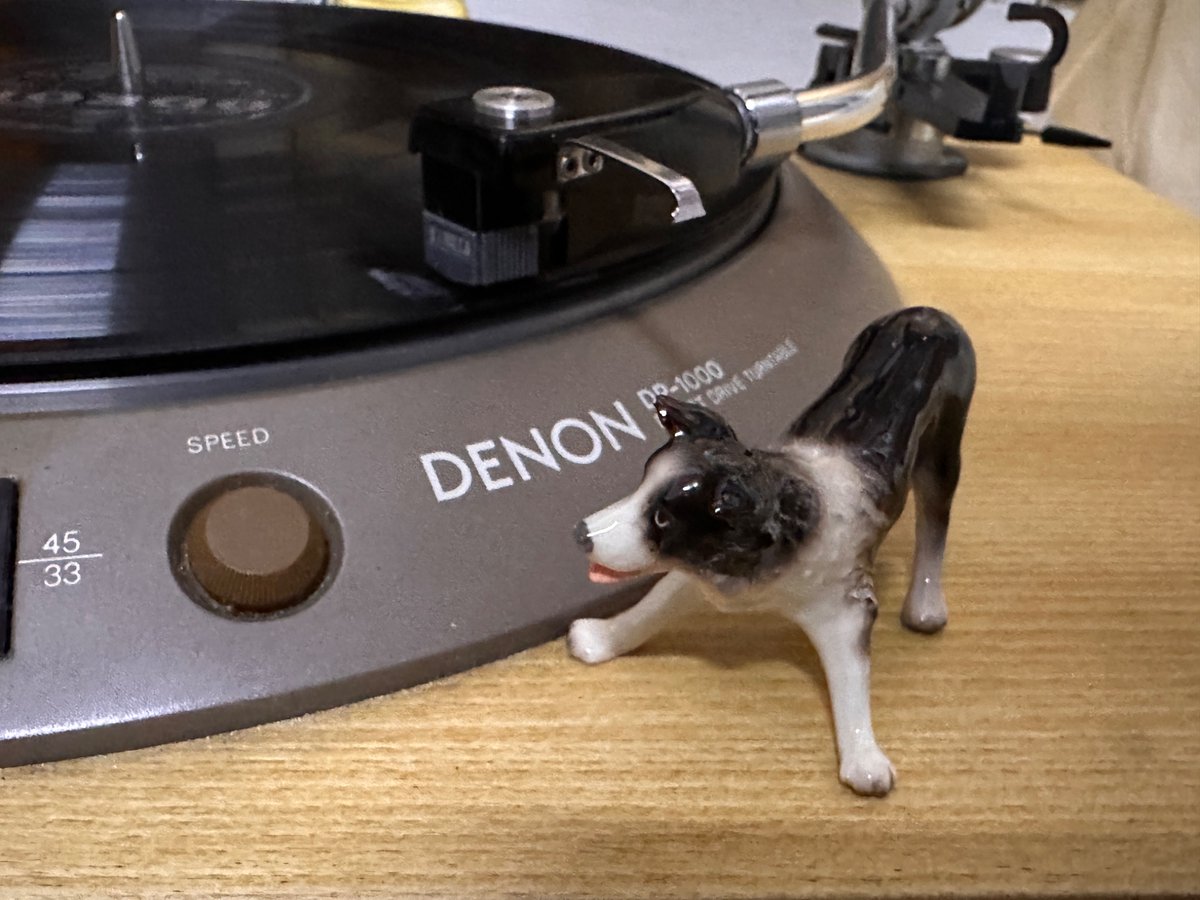 ꧁༒Леопольд༒꧂ tweet media