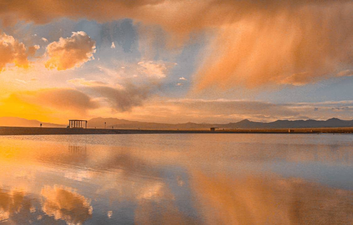 stephanie tweet media