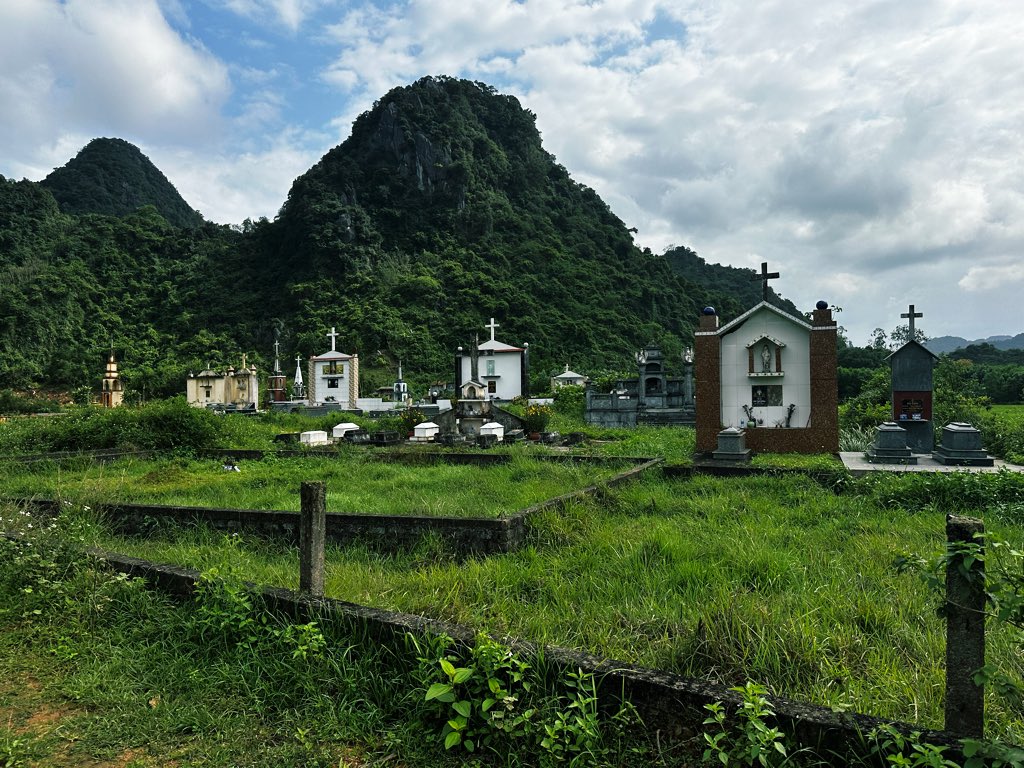 clare 🦇 tweet media