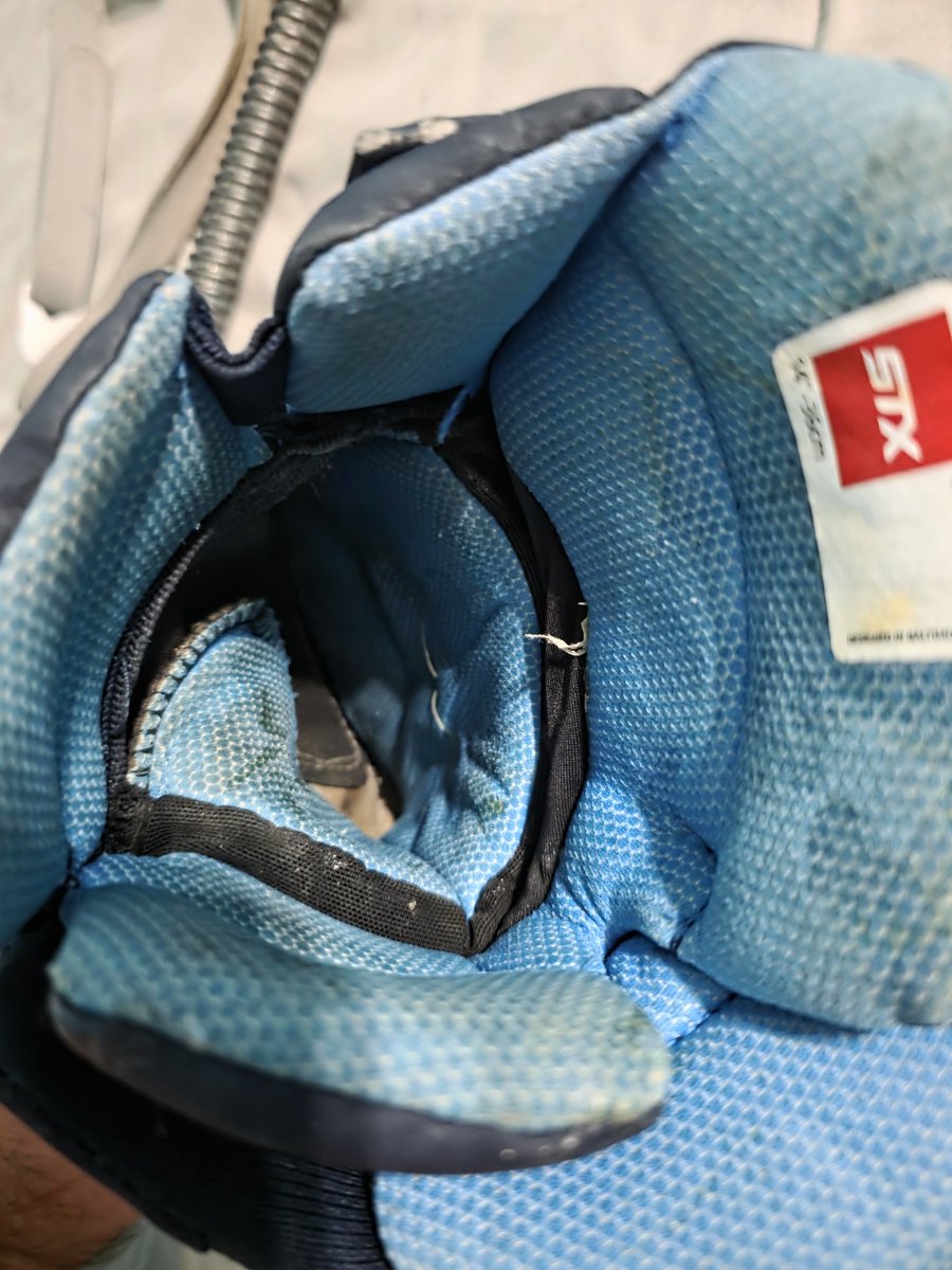 Wildcat / Pup Slappy tweet media