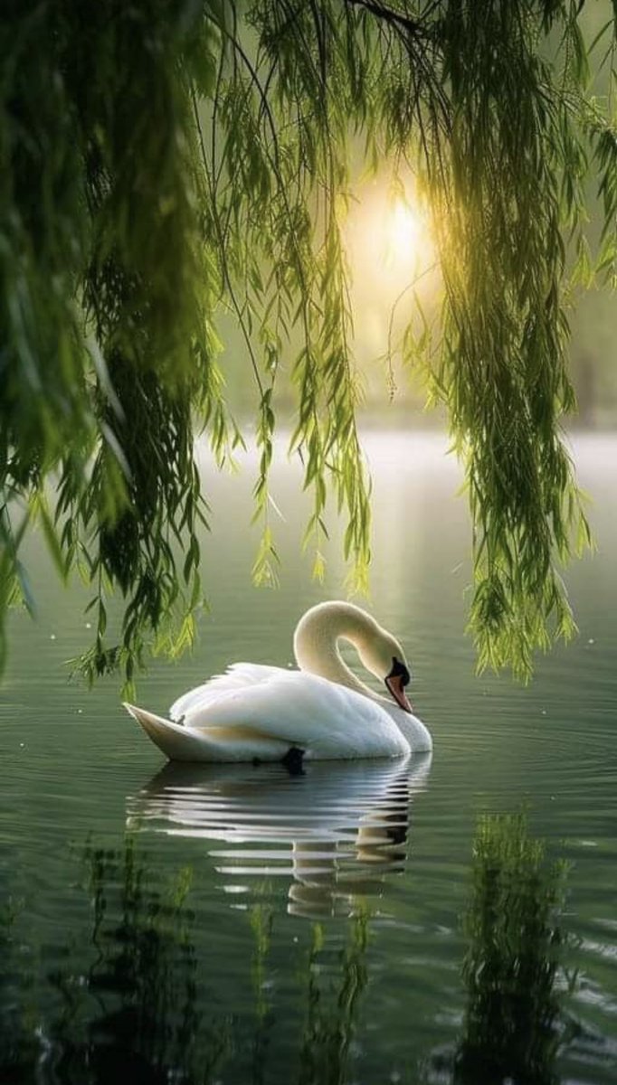 Jeanna 🇺🇸 tweet media