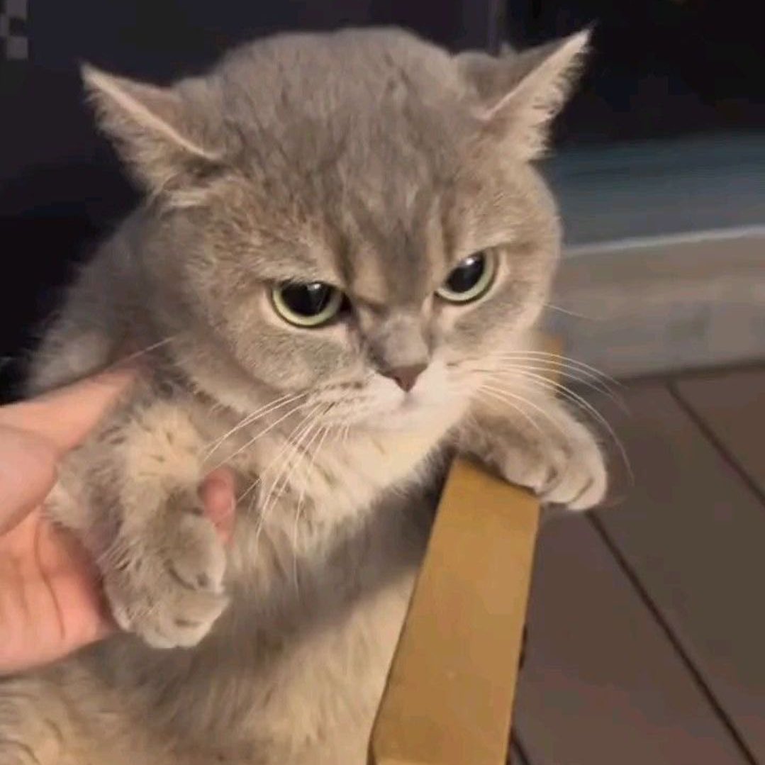 ไม่เอาน้า

ไม่เอาอะไร

ไม่เอาผัวใหม่นะคะ 😭 ไม่เอาผัวใหม่ น้า 😭

😒