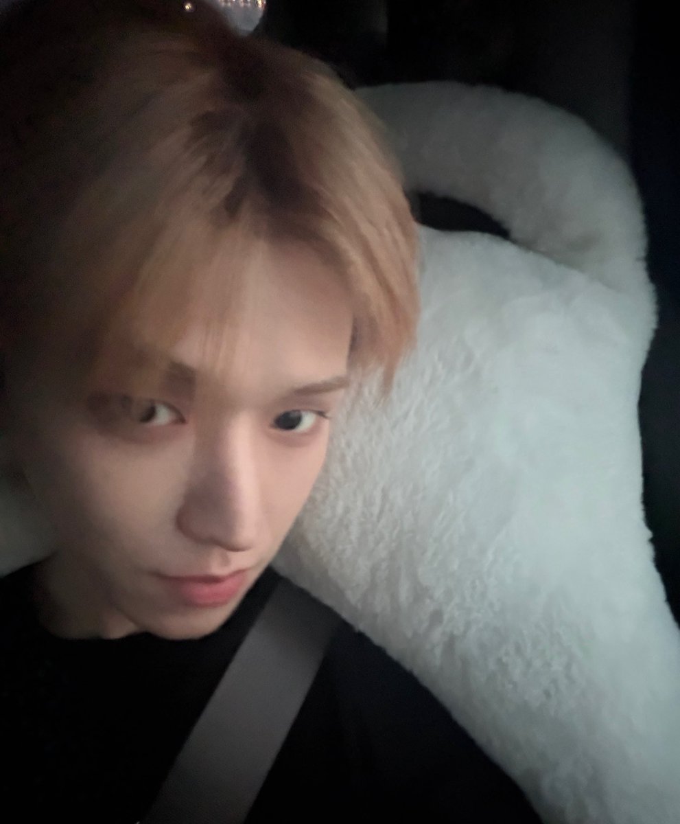 떵냥이 tweet media