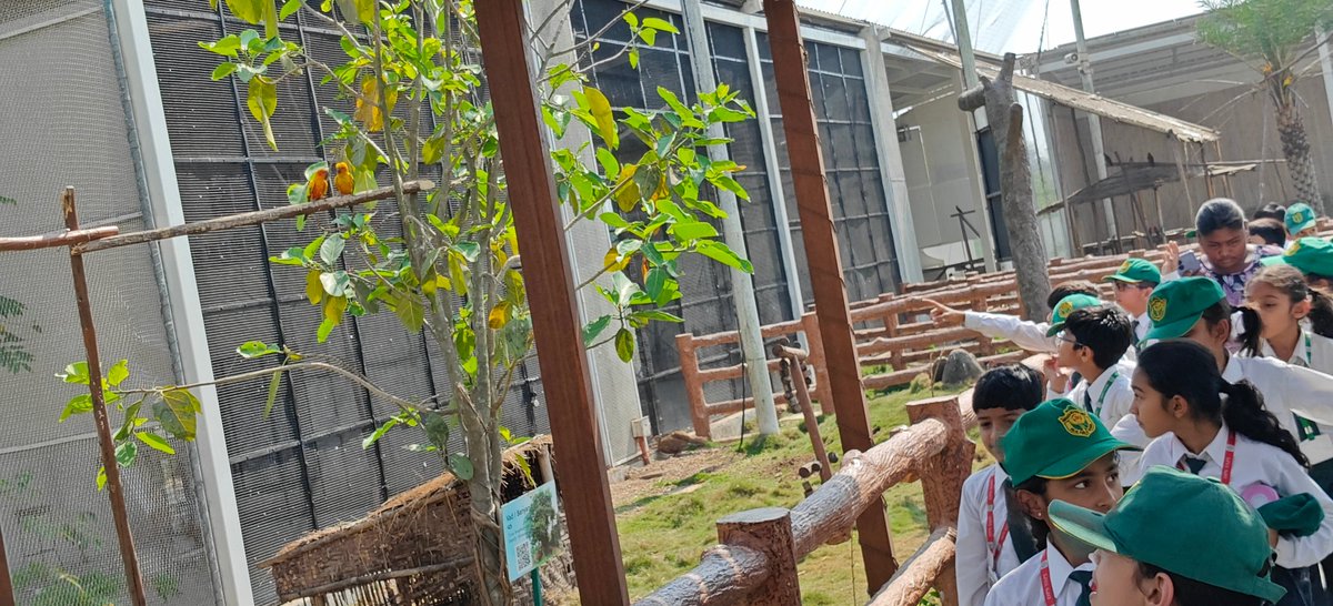 DpsVapi's tweet photo. As part of the Bagless Days initiative aimed at promoting experiential learning, the students of Class 2 embarked on an exciting fieldtrip to the Aviary, The Birds Park, on 13-03-26. The students explored the fascinating world of birds in a natural and engaging environment. https://t.co/inXMfmgvOq