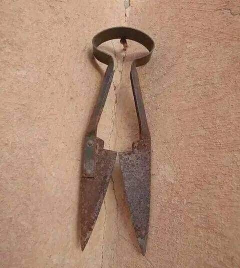 Sweet Nector tweet media