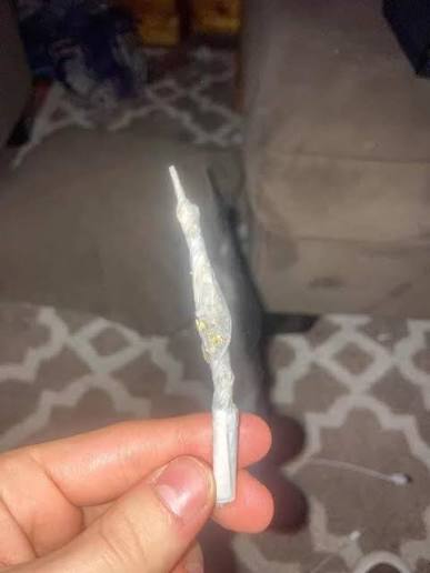 TuNichtGut 🕊🍉 tweet media