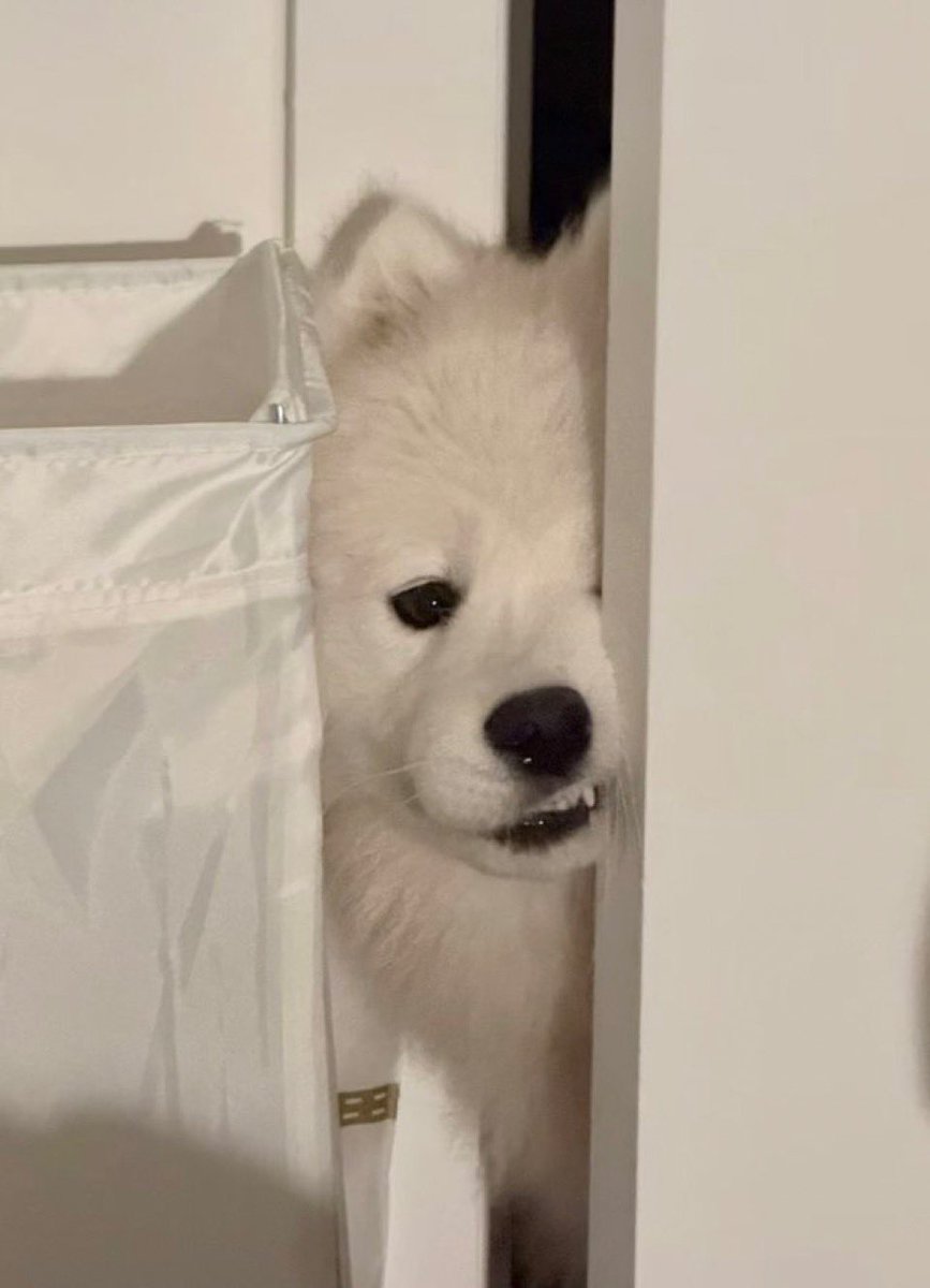 yf (@yufa411) on Twitter photo 