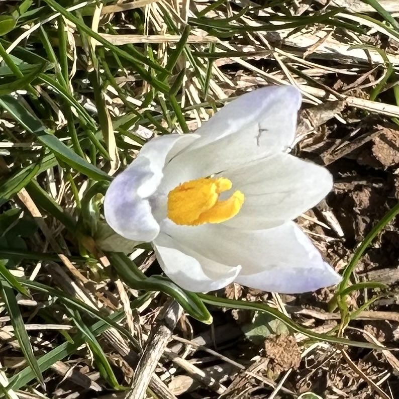 Reda EA 🤙🏼🍉 tweet media