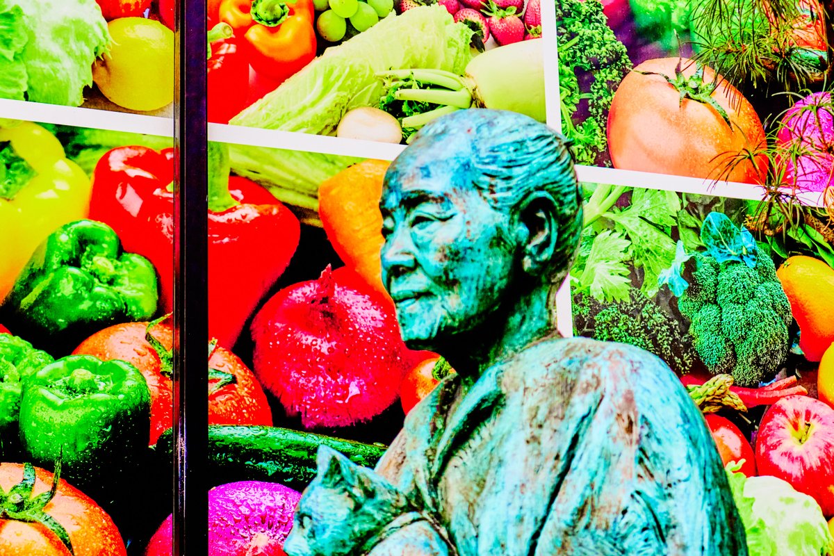 Wataru Nishida 西田航 tweet media