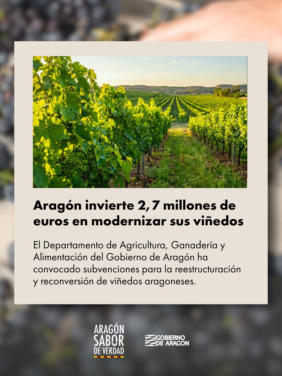 Aragón Alimentos tweet media