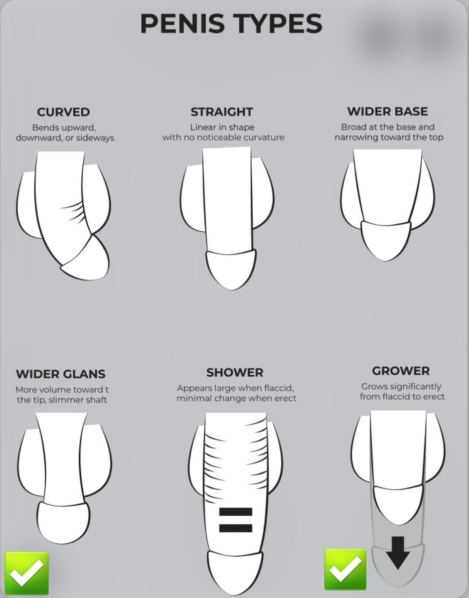 Mayoo340 tweet media