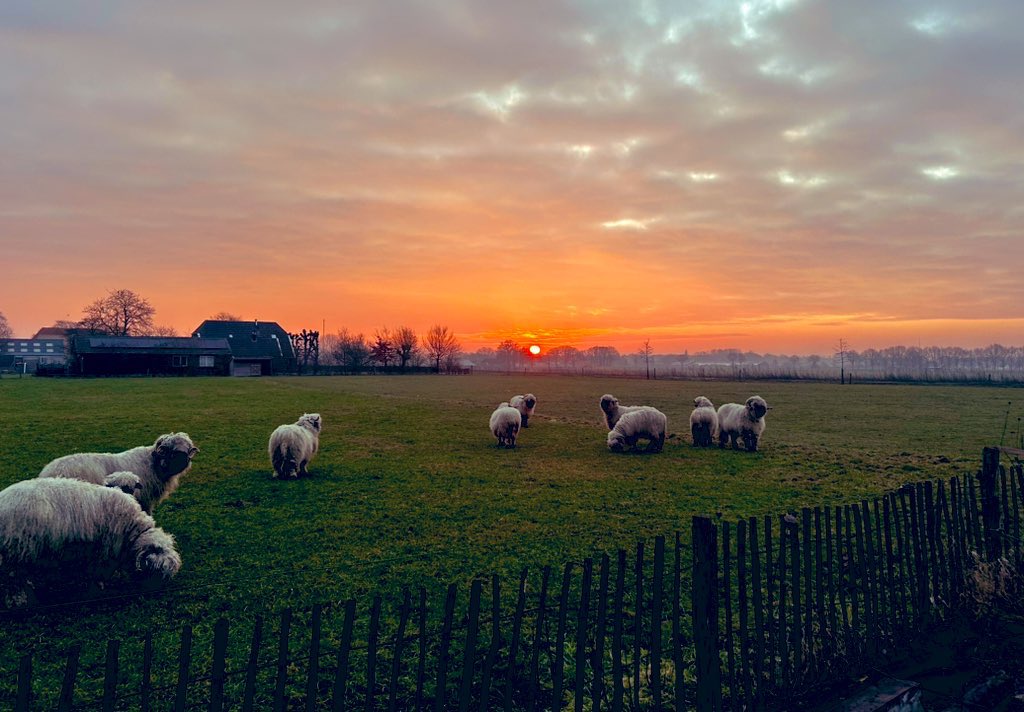 Geertjan Kloosterboer tweet media