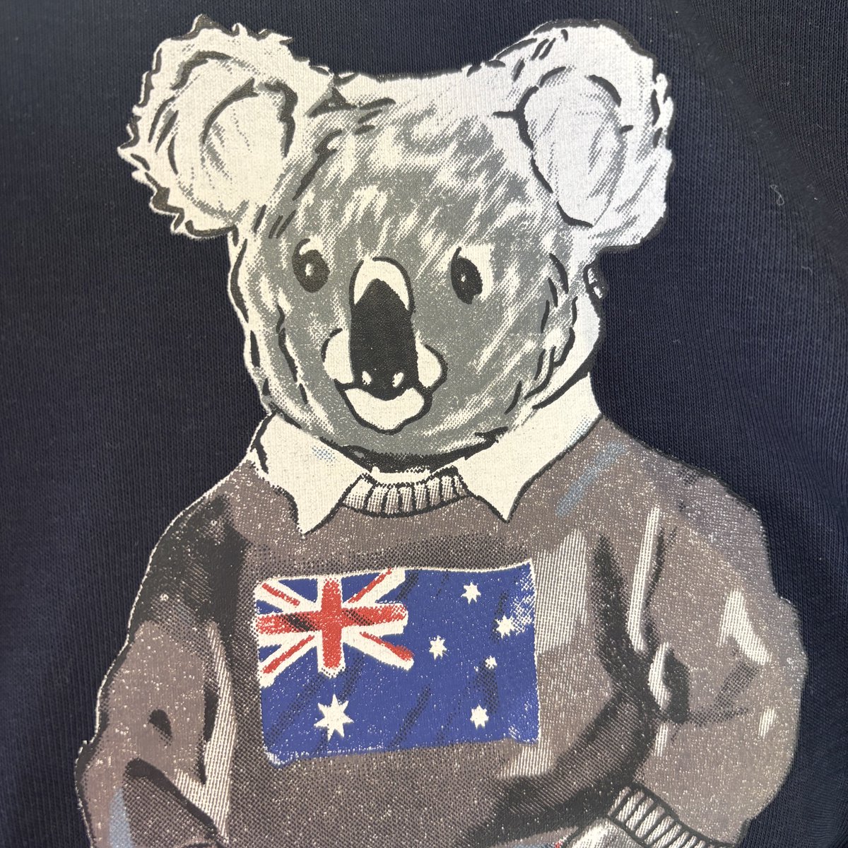 eli イーライ ⋆⭒˚.⋆ in aus! tweet media