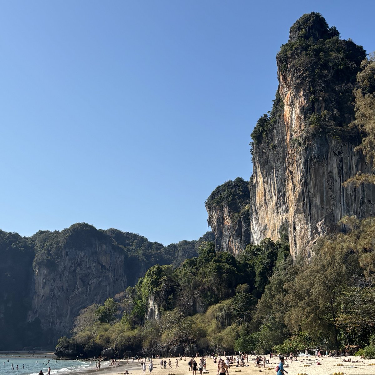 eli イーライ ⋆⭒˚.⋆ in aus! tweet media