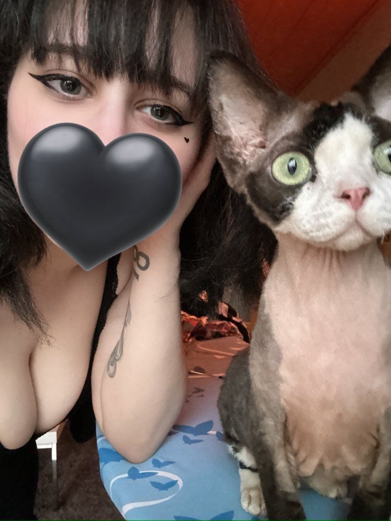 ⛧ Meuww ⛧ 🔴🎪 tweet media