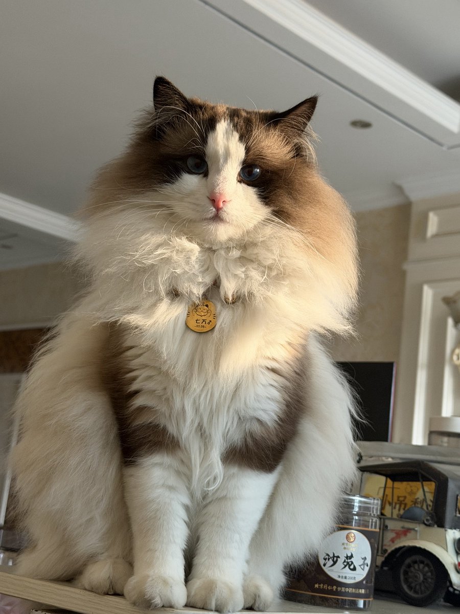 奈斯🔶 BNB tweet media