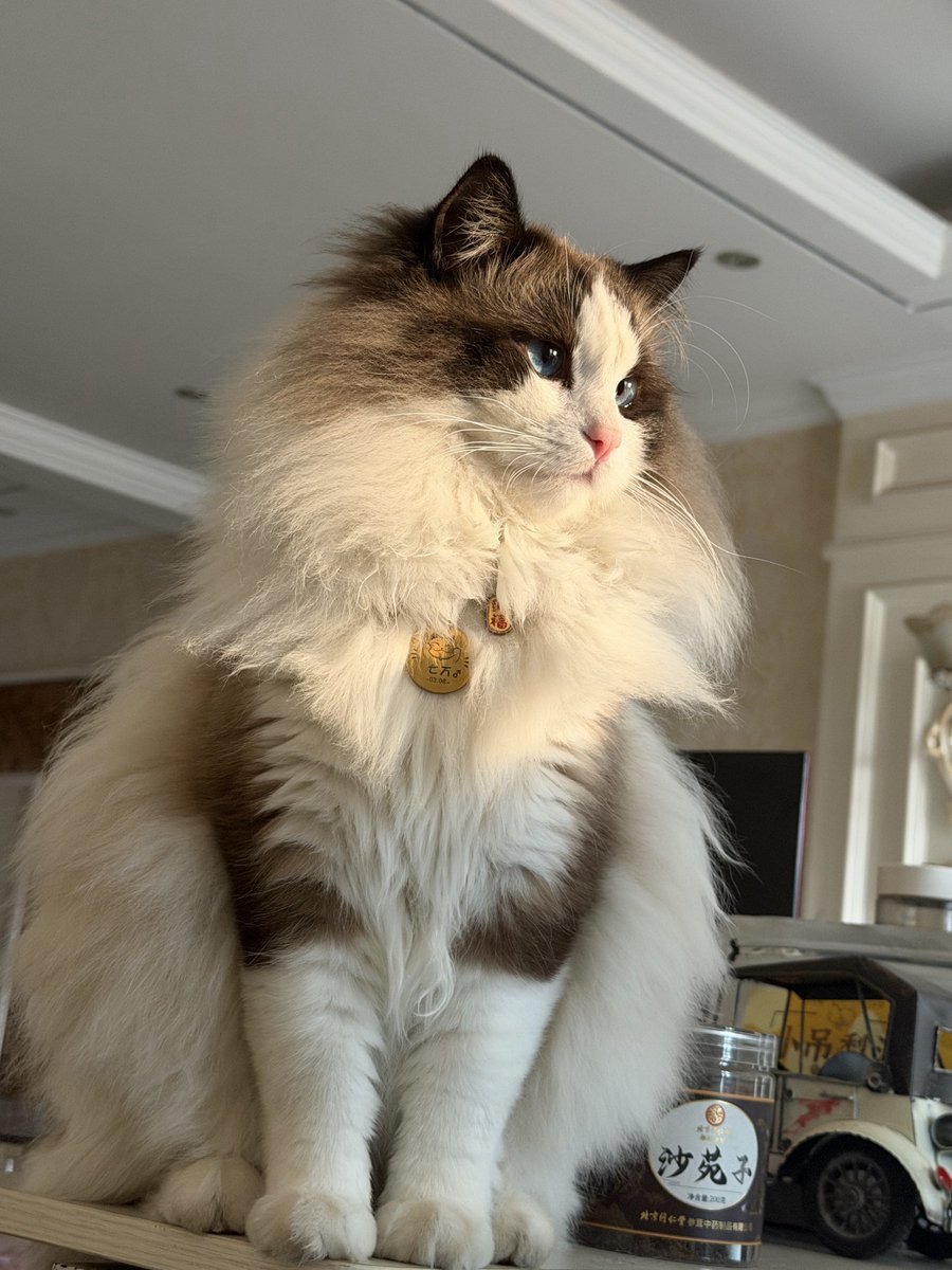 奈斯🔶 BNB tweet media