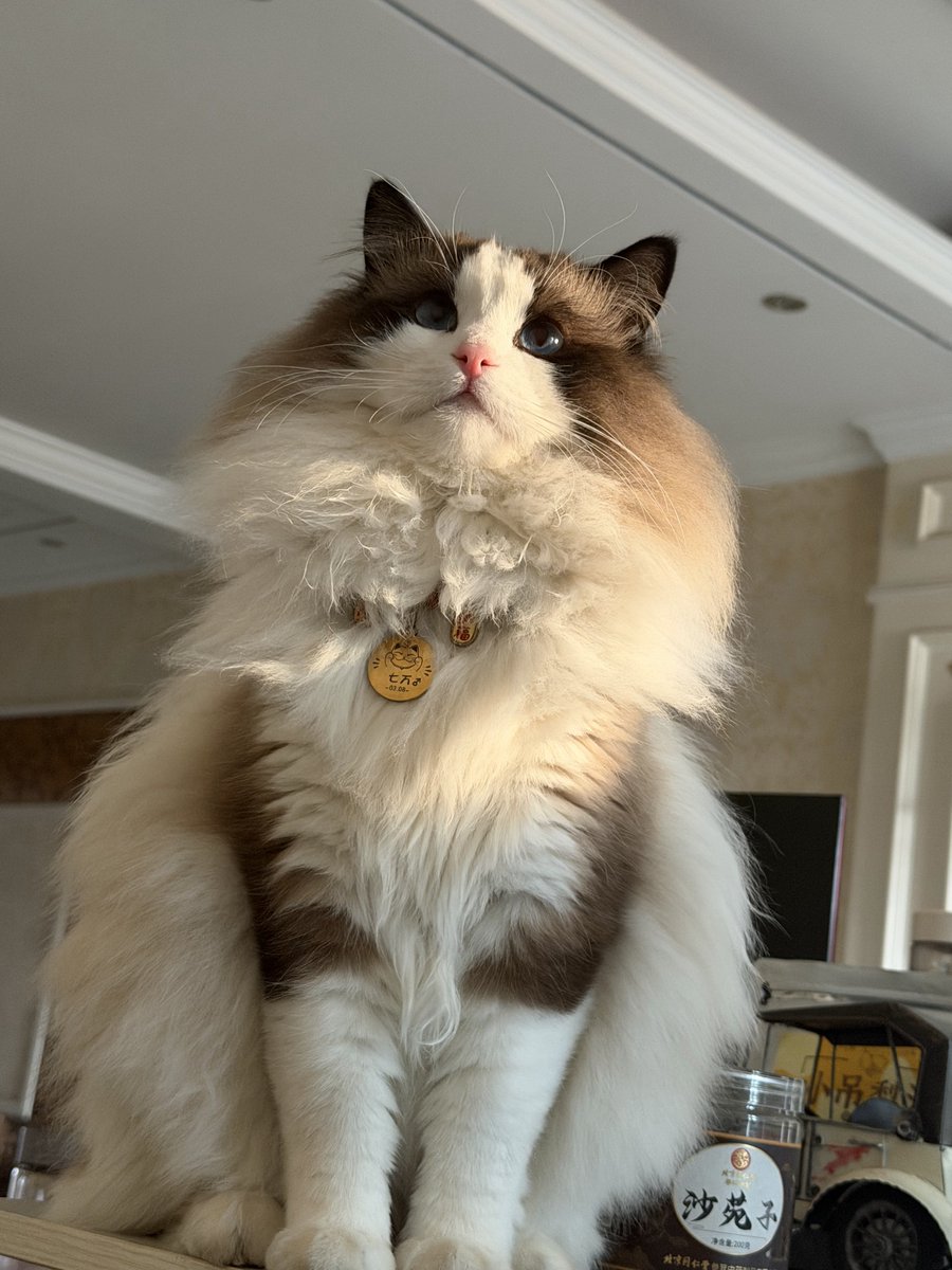 奈斯🔶 BNB tweet media