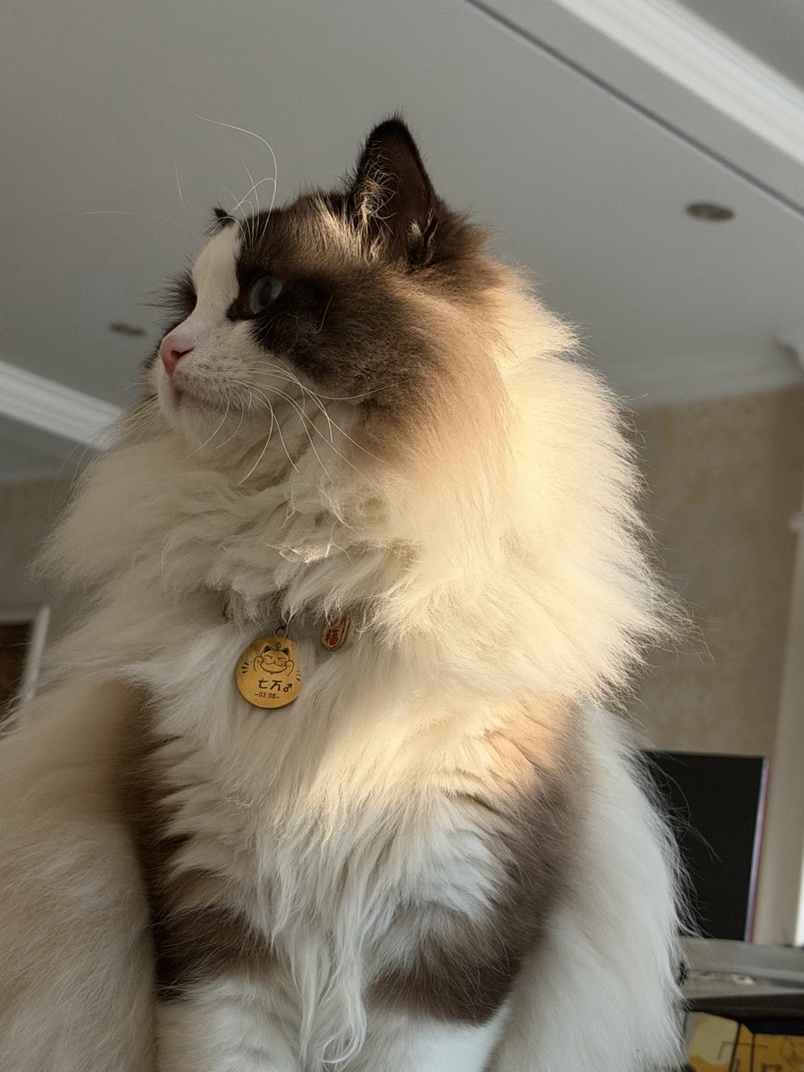 奈斯🔶 BNB tweet media