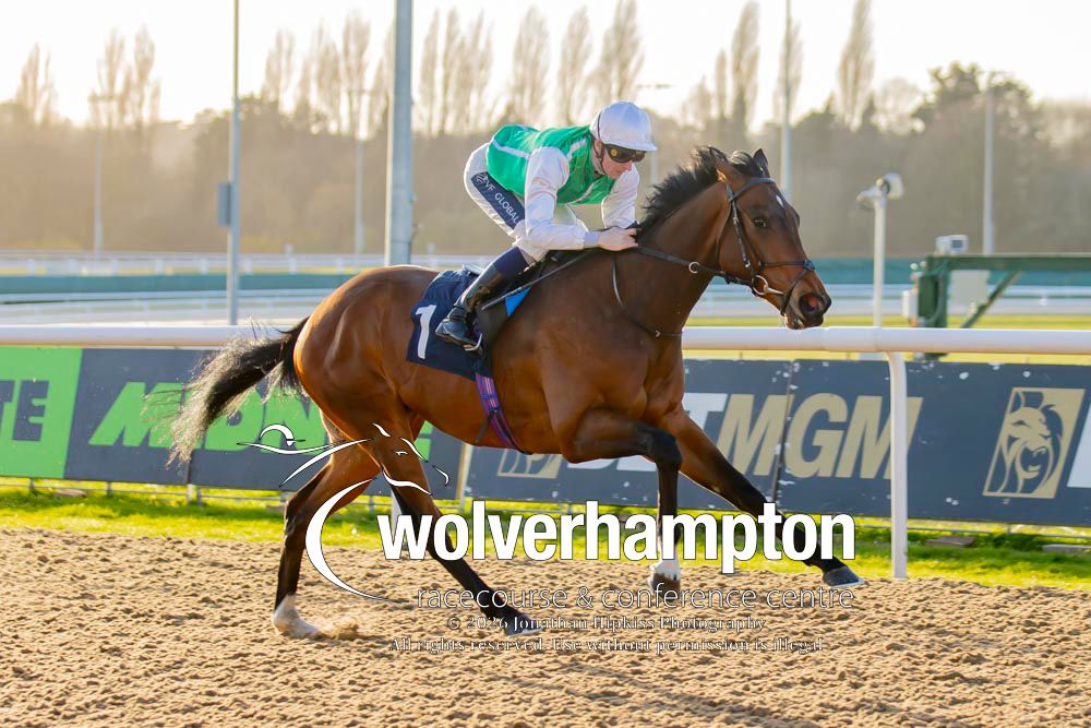 Wolverhampton Races tweet media