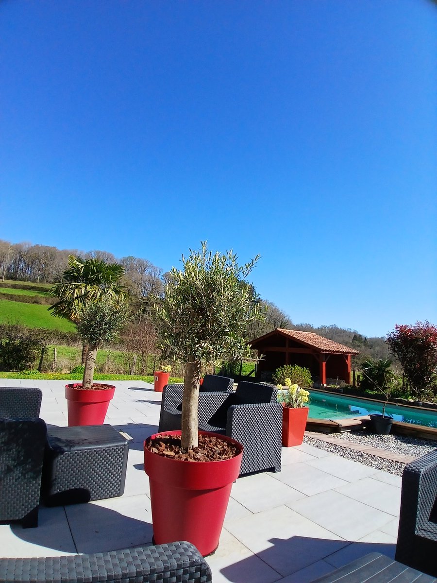 Potissien et sa Chipironde 🌶 tweet media