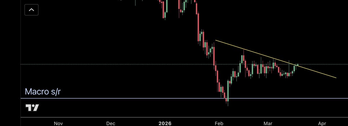 TraderSZ tweet media