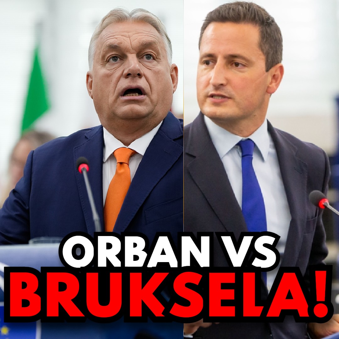 WolnośćTV tweet media