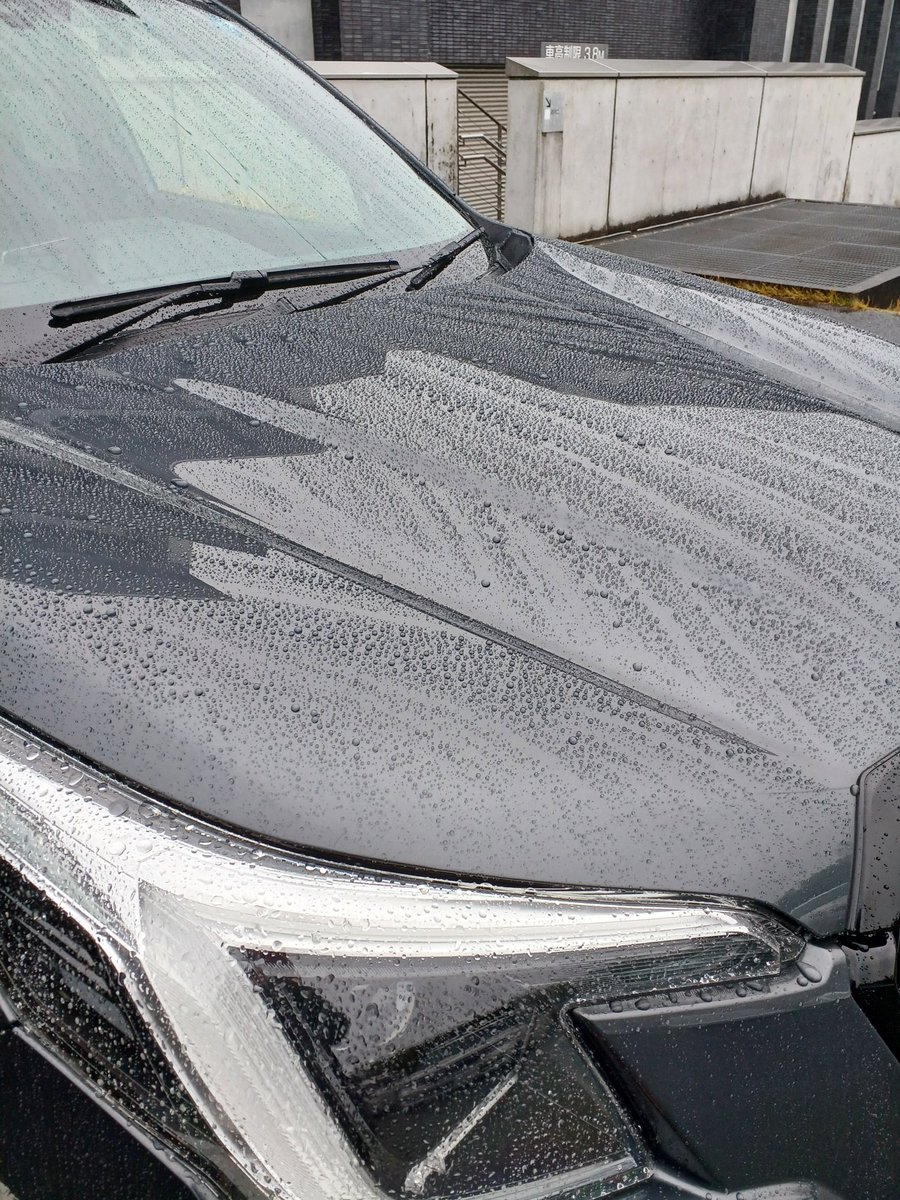 #洗車
 先日のセルフ洗車後の雨☔
コロコロ弾いて嬉しい🤗💓
本振りなので花粉も流れてる⸜(*˙꒳˙*)⸝