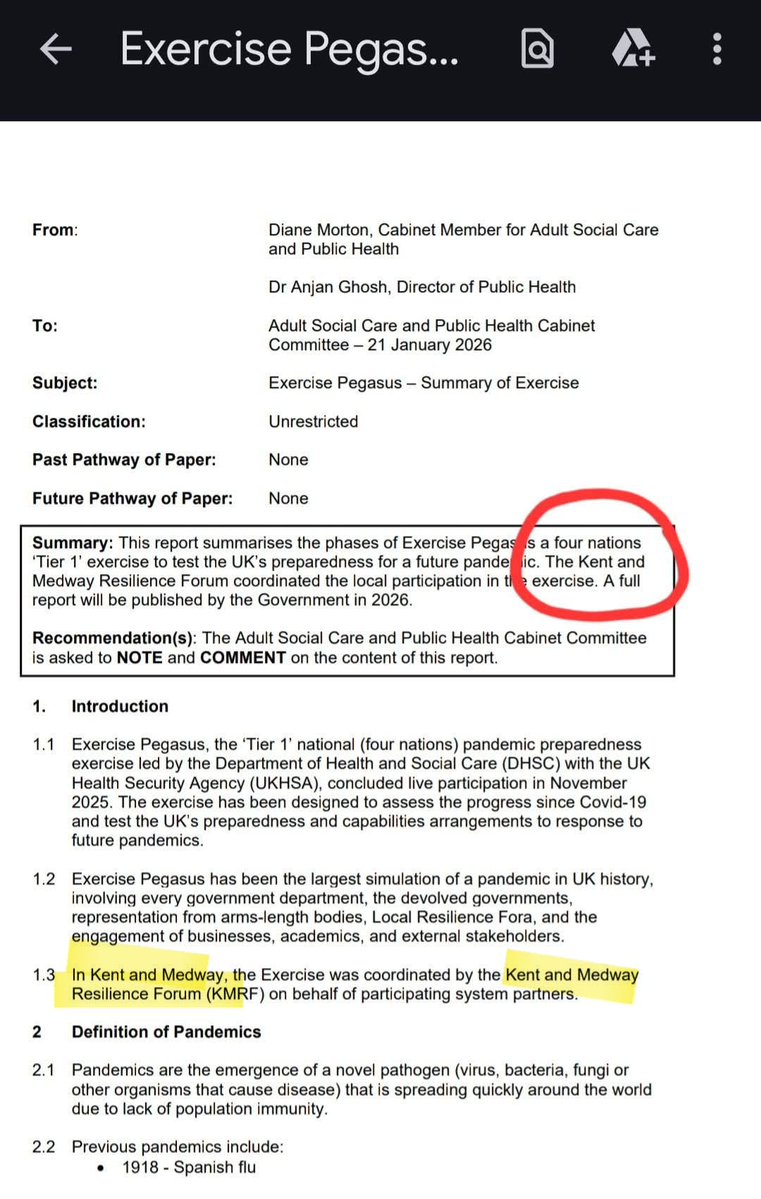 Vanessa Wood (Veeliscious)🇬🇧🇬🇪 tweet media