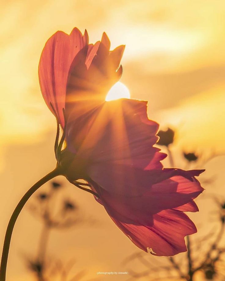 Elio Nieves 🇨🇺🙏🇺🇸 tweet media