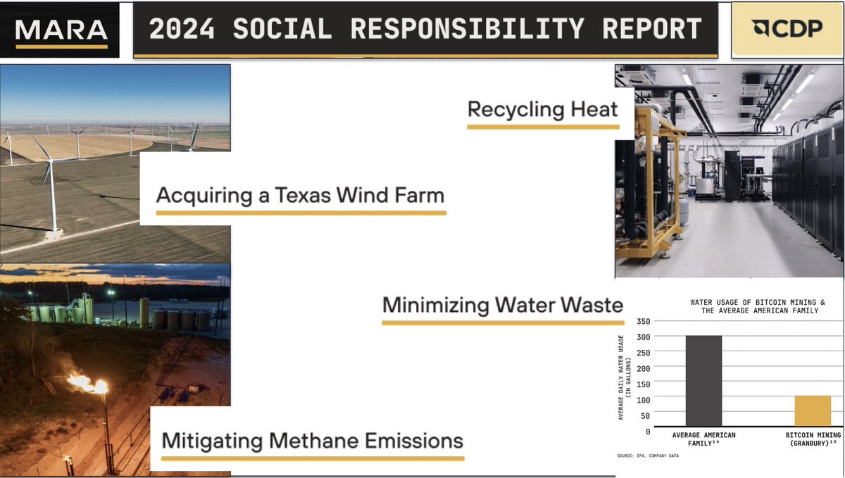 Daniel Batten tweet media