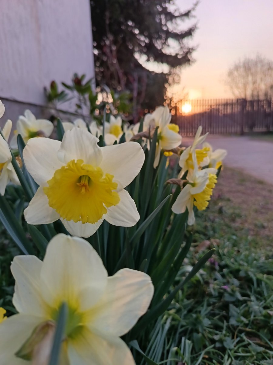 Illés Éva tweet media