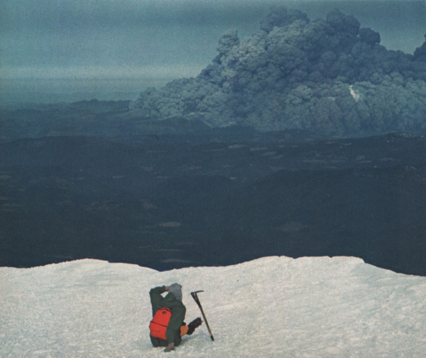 Laocoon of Troy tweet media