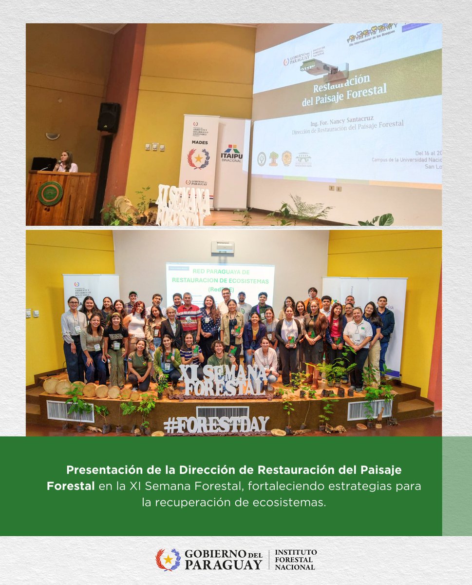 Instituto Forestal Nacional del Paraguay tweet media