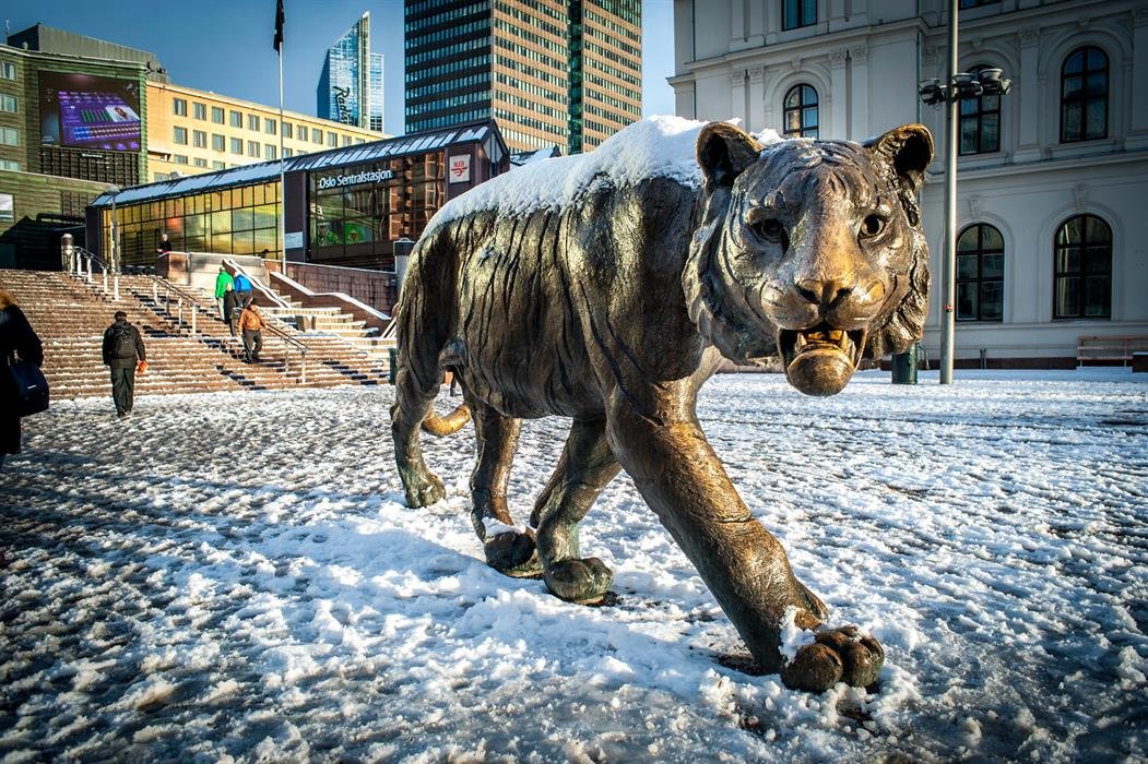 Fútbol Noruego tweet media