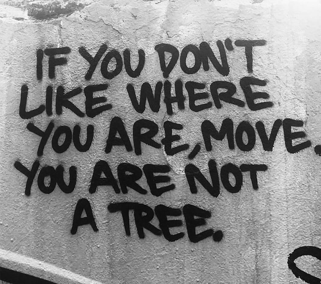 Seneca ☄ tweet media