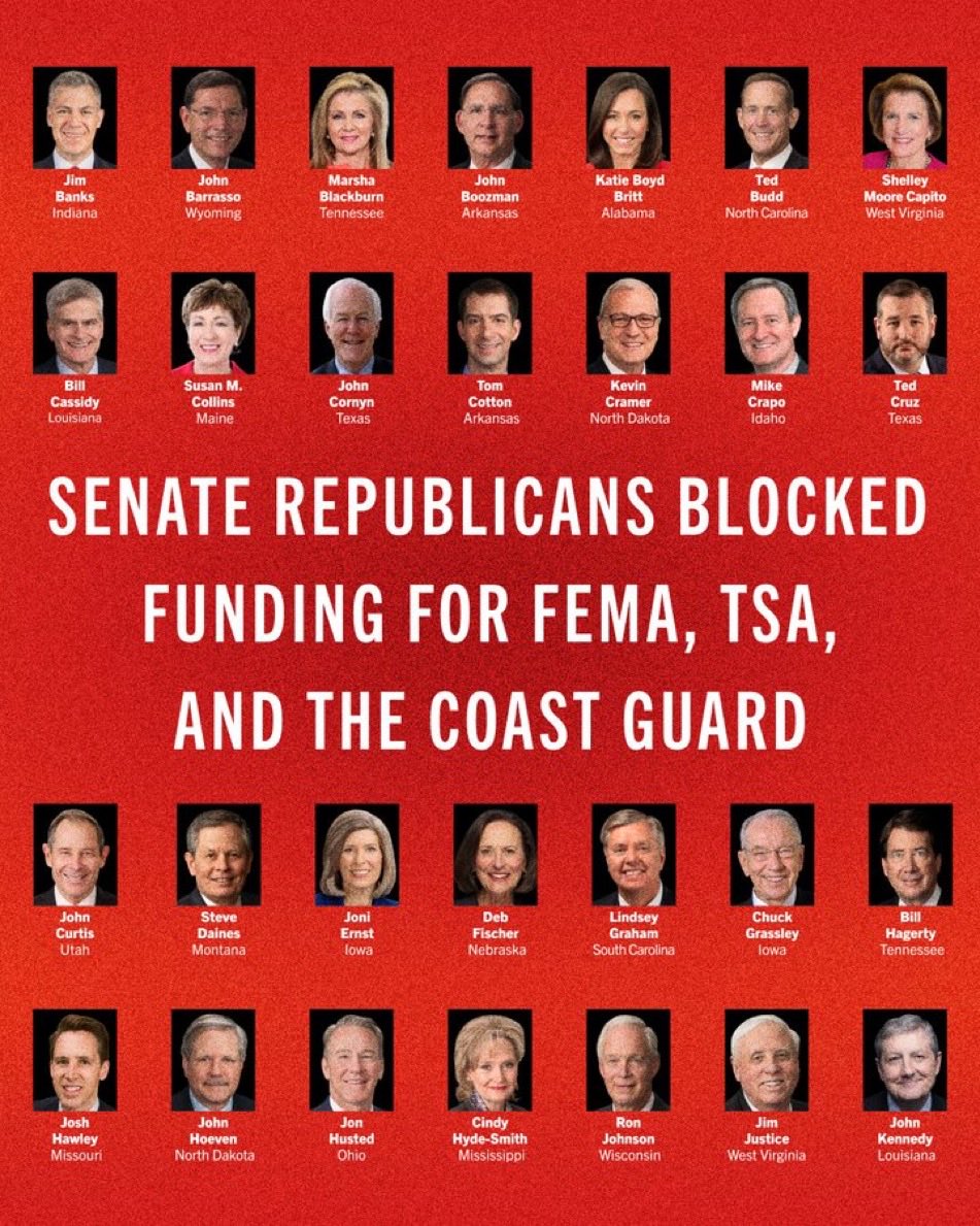 Barry Smith 🇺🇸 tweet media