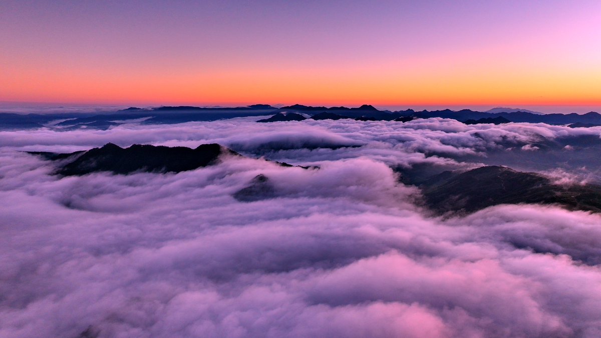 Emily Kerr tweet media