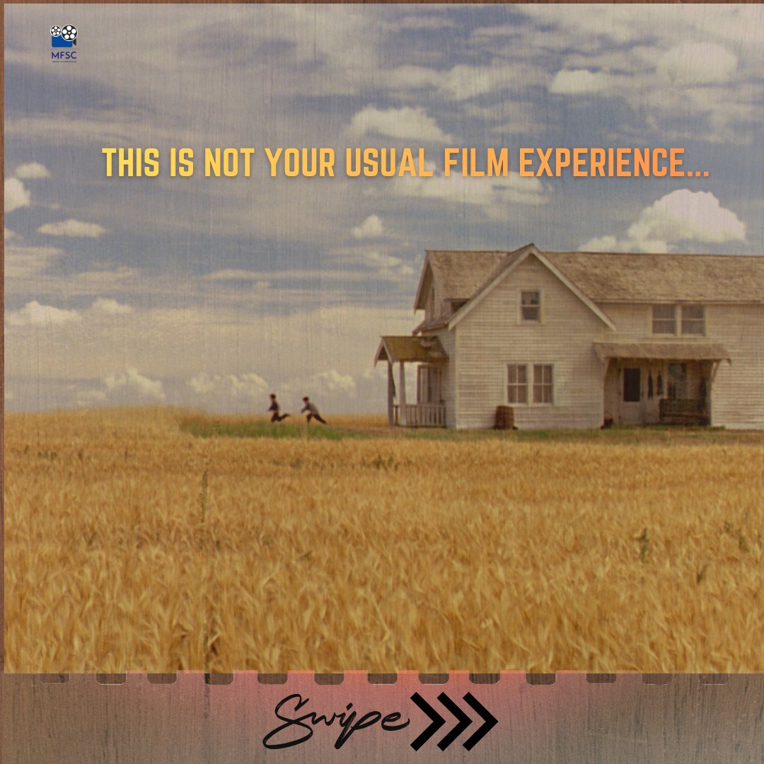 Madras Film Screening Club 🎬 tweet media