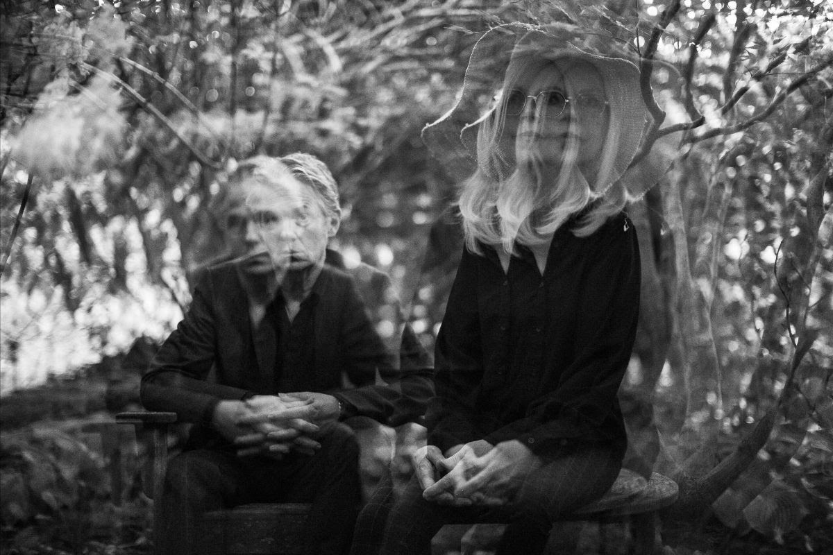 New Noise tweet media