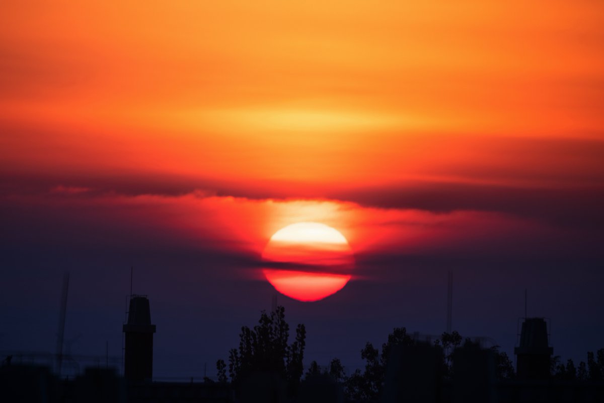 marilou luague-sapio tweet media