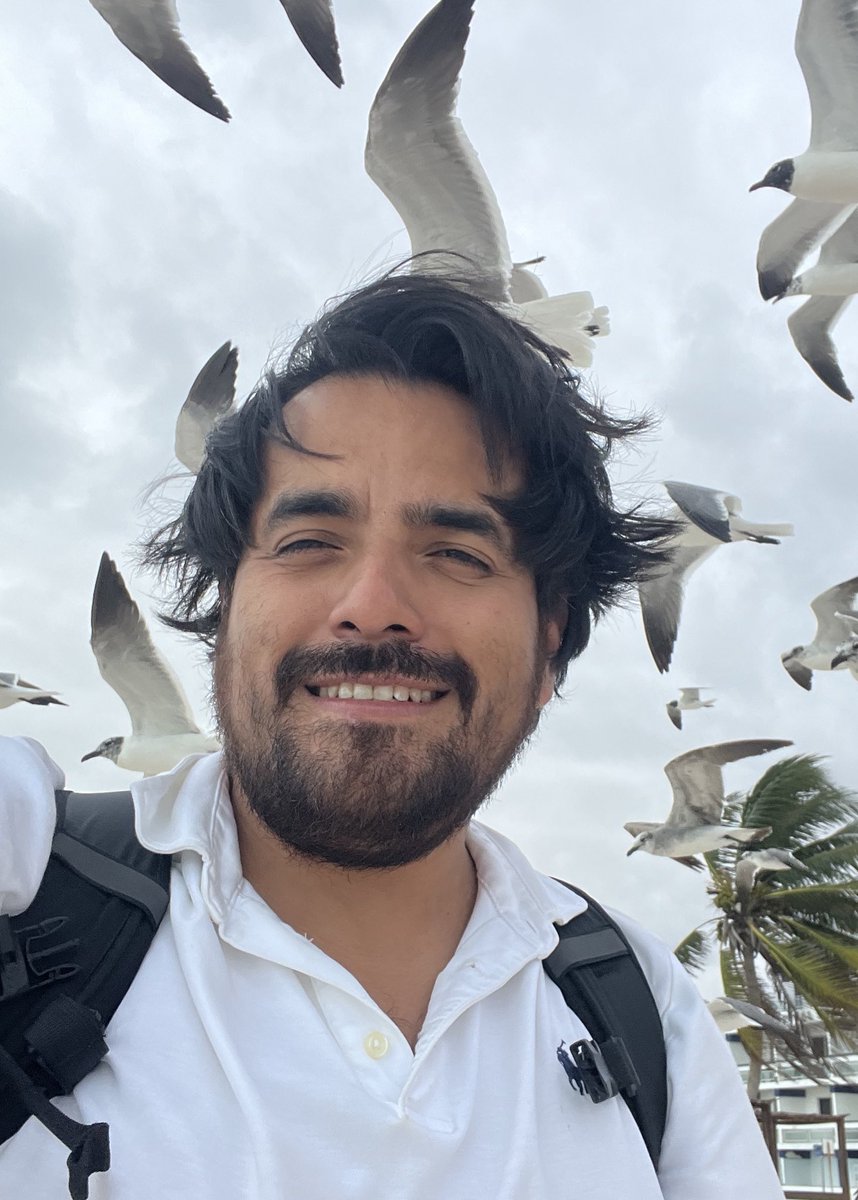José Gpe. Ríos tweet media