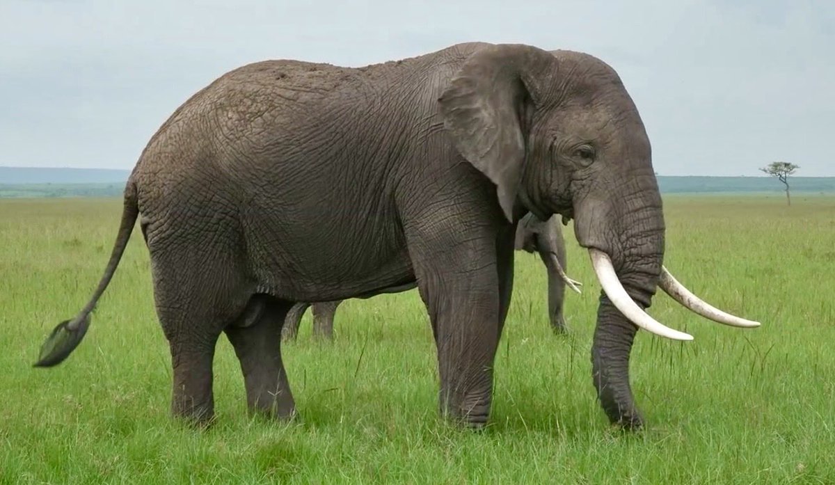 Michelle Silverman tweet media