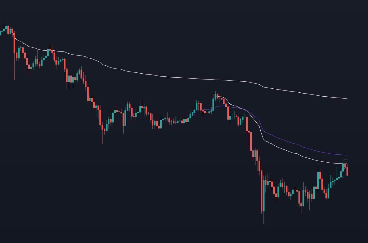 Nick Cipher - “The Flopping Groper” tweet media